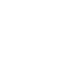 Brilliant Maid